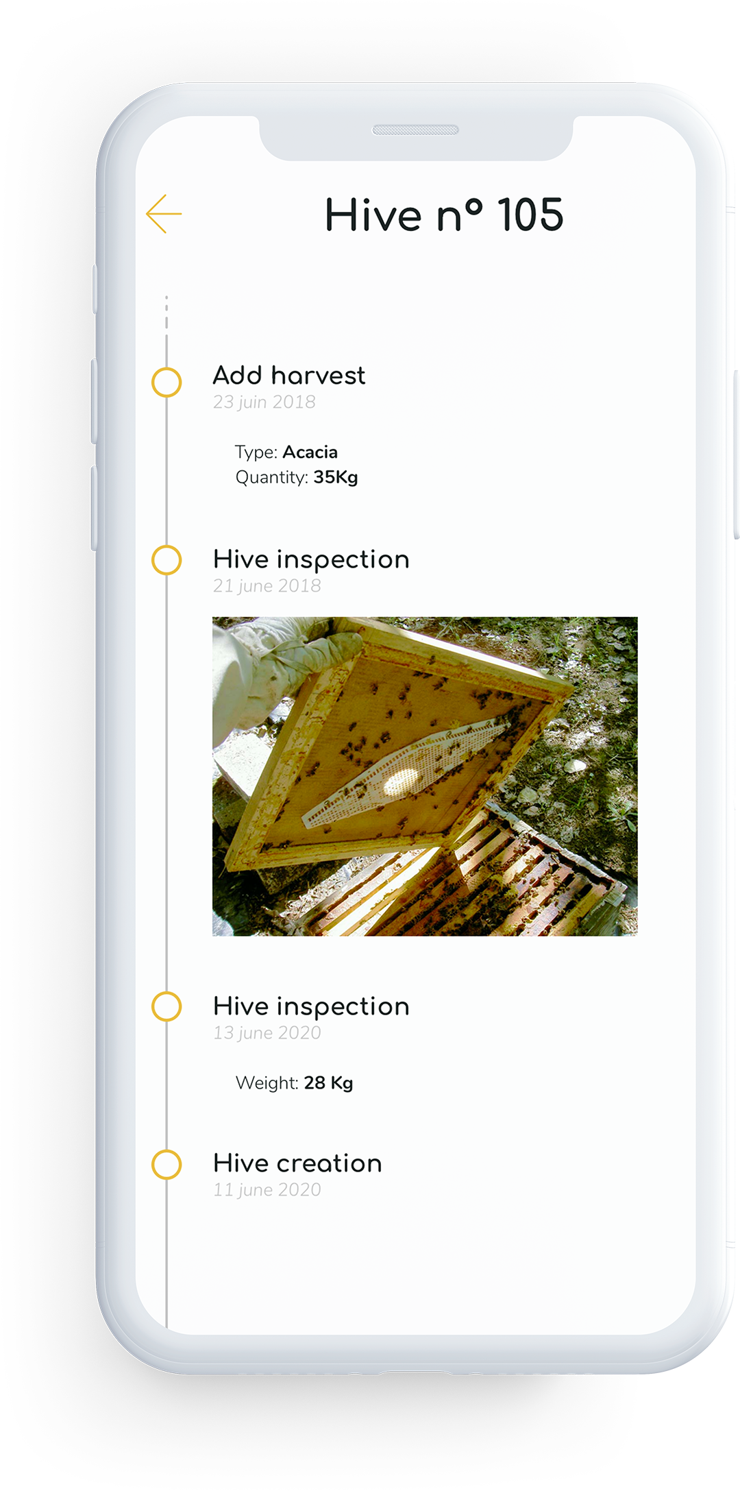 App hive timeline screenshot